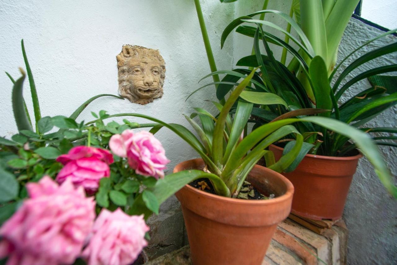 דירות קורדובה El Patio De Regina מראה חיצוני תמונה