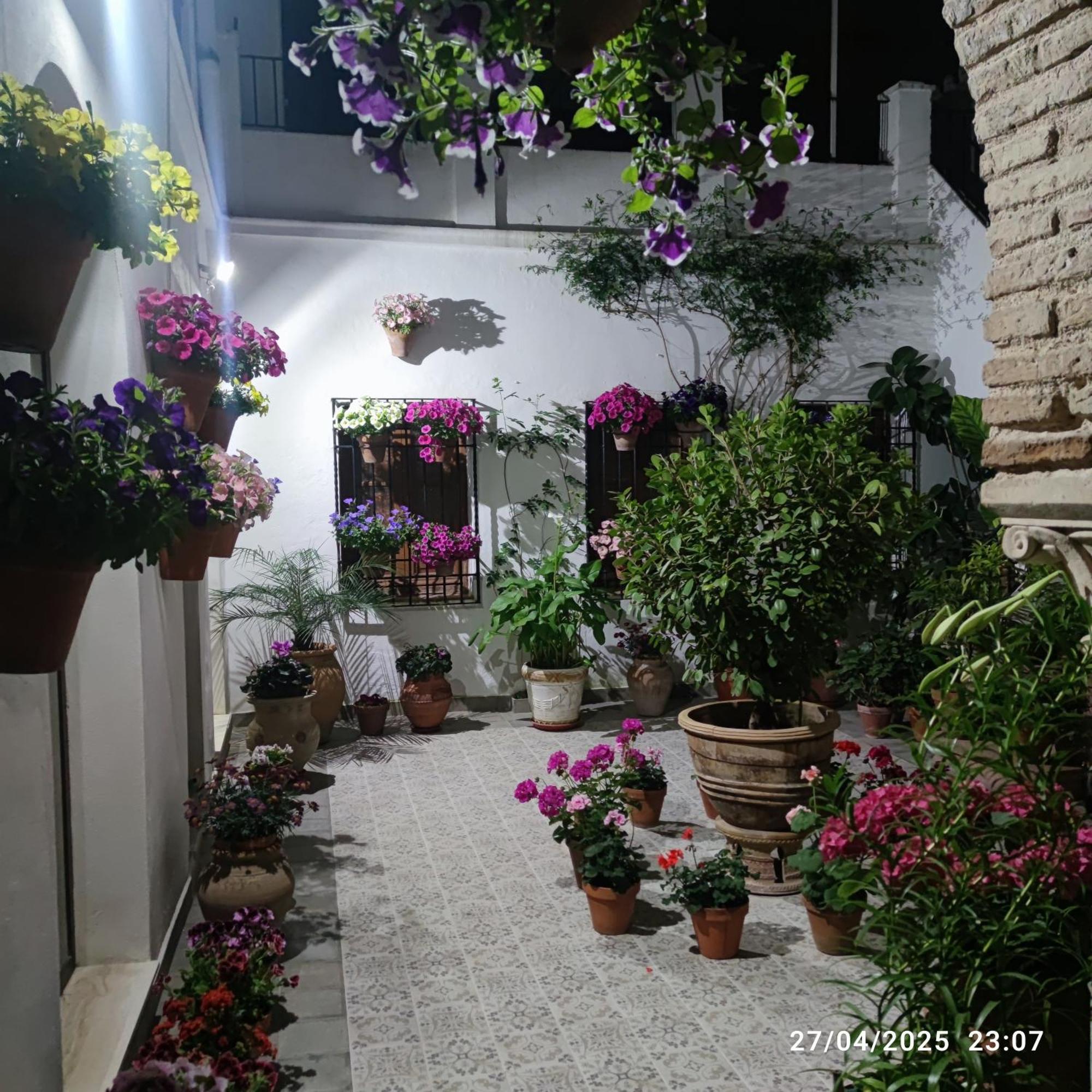 דירות קורדובה El Patio De Regina מראה חיצוני תמונה