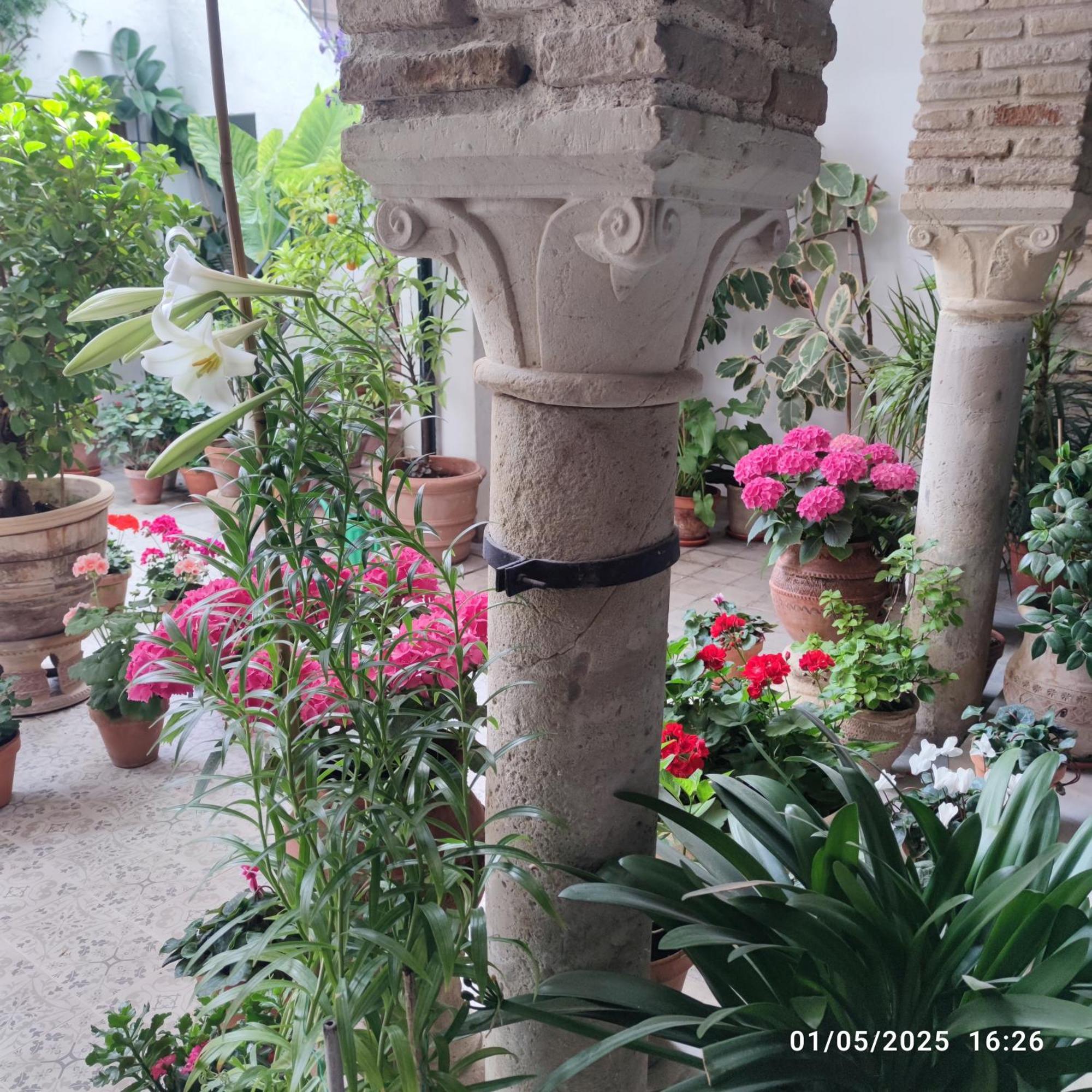 דירות קורדובה El Patio De Regina מראה חיצוני תמונה