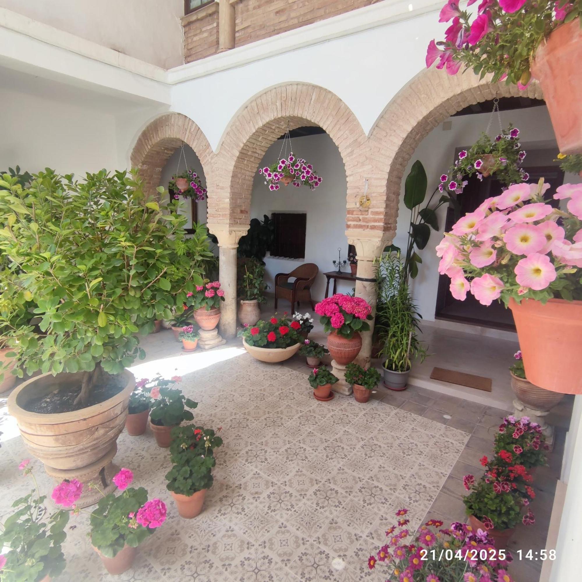 דירות קורדובה El Patio De Regina מראה חיצוני תמונה