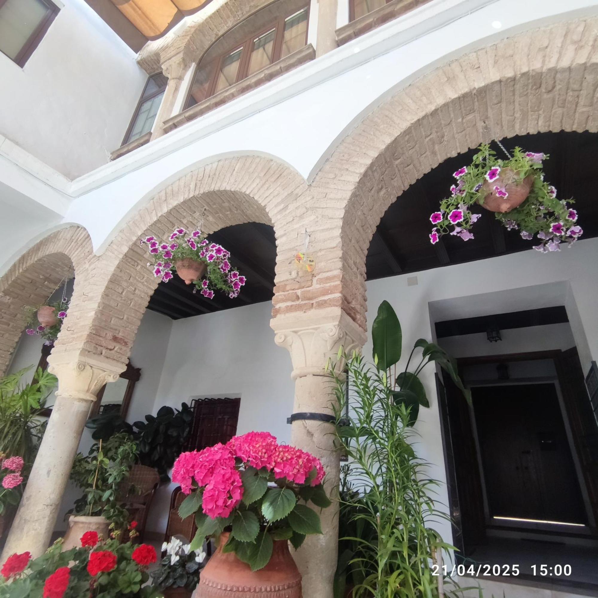 דירות קורדובה El Patio De Regina מראה חיצוני תמונה